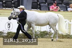 24R13_20352 thumbnail
