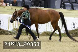 24R13_20353 thumbnail