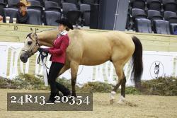 24R13_20354 thumbnail
