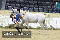 24R13_20355 thumbnail