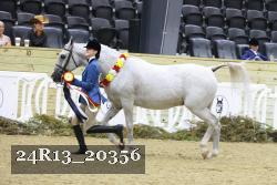 24R13_20356 thumbnail