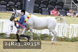 24R13_20358 thumbnail