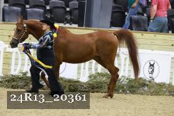 24R13_20361 thumbnail