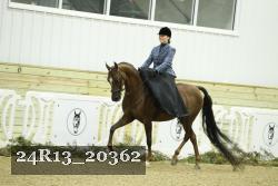 24R13_20362 thumbnail