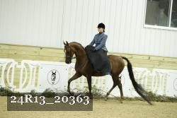 24R13_20363 thumbnail