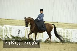 24R13_20364 thumbnail
