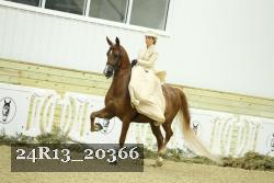 24R13_20366 thumbnail