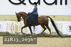 24R13_20367 thumbnail