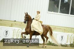 24R13_20368 thumbnail