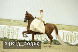 24R13_20369 thumbnail