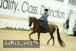 24R13_20370 thumbnail