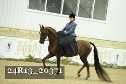 24R13_20371 thumbnail