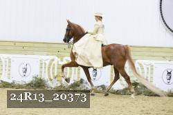 24R13_20373 thumbnail