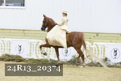 24R13_20374 thumbnail