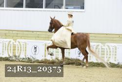 24R13_20375 thumbnail