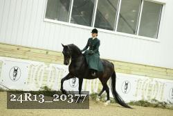 24R13_20377 thumbnail
