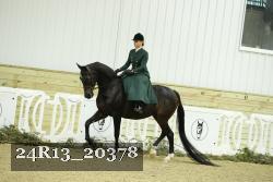 24R13_20378 thumbnail