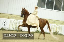 24R13_20380 thumbnail