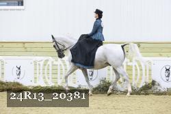 24R13_20381 thumbnail