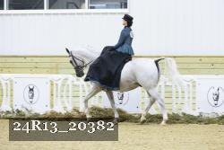 24R13_20382 thumbnail