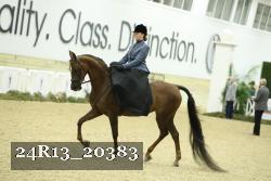 24R13_20383 thumbnail