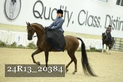 24R13_20384 thumbnail