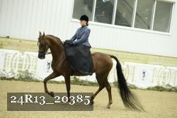 24R13_20385 thumbnail