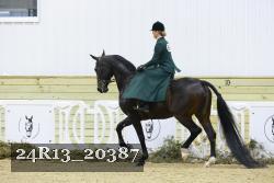 24R13_20387 thumbnail