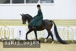24R13_20388 thumbnail