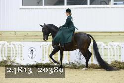 24R13_20389 thumbnail