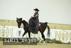 24R13_20392 thumbnail