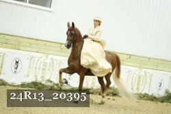 24R13_20395 thumbnail