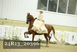 24R13_20396 thumbnail