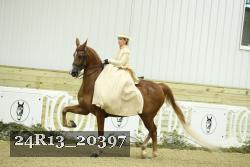 24R13_20397 thumbnail