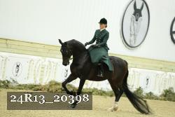 24R13_20398 thumbnail