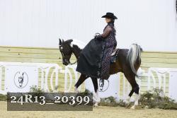 24R13_20399 thumbnail