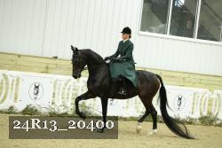 24R13_20400 thumbnail