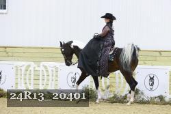 24R13_20401 thumbnail