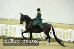 24R13_20402 thumbnail