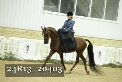 24R13_20403 thumbnail