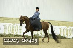 24R13_20405 thumbnail