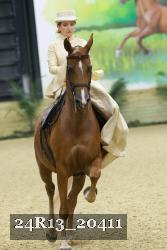 24R13_20411 thumbnail