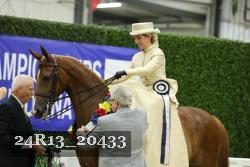 24R13_20433 thumbnail