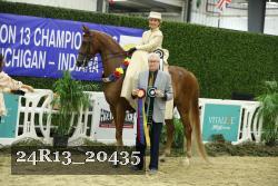 24R13_20435 thumbnail