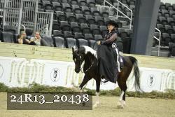 24R13_20438 thumbnail
