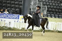 24R13_20439 thumbnail