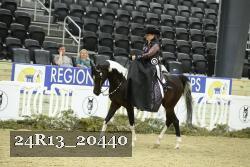 24R13_20440 thumbnail