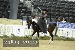 24R13_20441 thumbnail