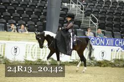 24R13_20442 thumbnail