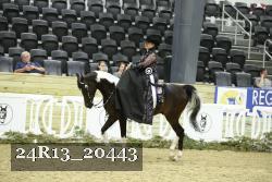24R13_20443 thumbnail